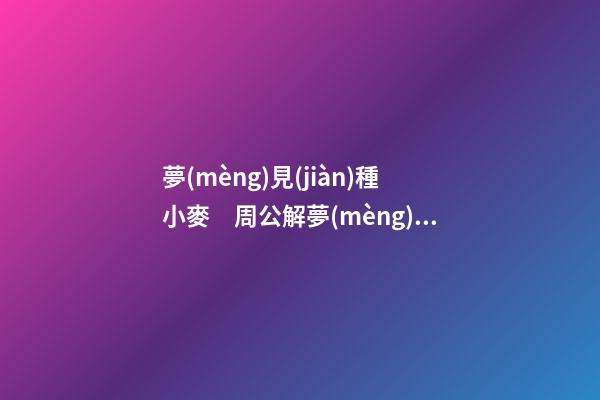 夢(mèng)見(jiàn)種小麥　周公解夢(mèng)之夢(mèng)到種小麥